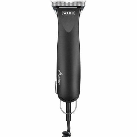 WAHL Avalon
